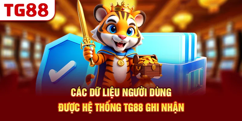 Các Dữ Liệu Người Dùng Được Hệ Thống TG88 Ghi Nhận