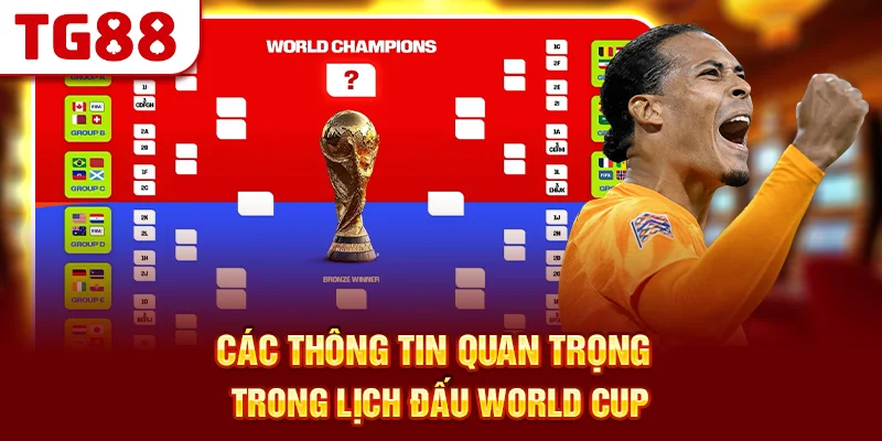 Các Thông Tin Quan Trọng Trong Lịch Đấu World Cup