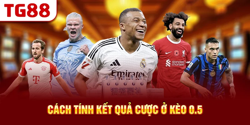 Cách Tính Kết Quả Cược Ở Kèo 0.5