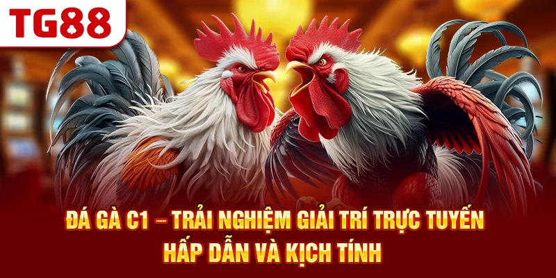 Đá Gà C1 – Trải Nghiệm Giải Trí Trực Tuyến Hấp Dẫn Và Kịch Tính