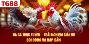 Đá Gà Trực Tuyến – Trải Nghiệm Giải Trí Sôi Động Và Hấp Dẫn
