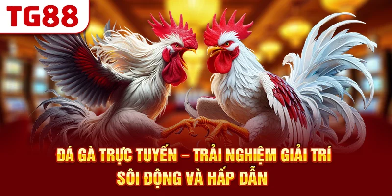 Đá Gà Trực Tuyến – Trải Nghiệm Giải Trí Sôi Động Và Hấp Dẫn