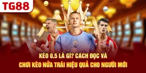 Kèo 0.5 Là Gì? Cách Đọc Và Chơi Kèo Nửa Trái Hiệu Quả Cho Người Mới