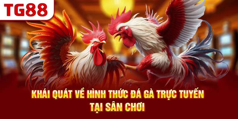 Khái Quát Về Hình Thức Đá Gà Trực Tuyến Tại Sân Chơi
