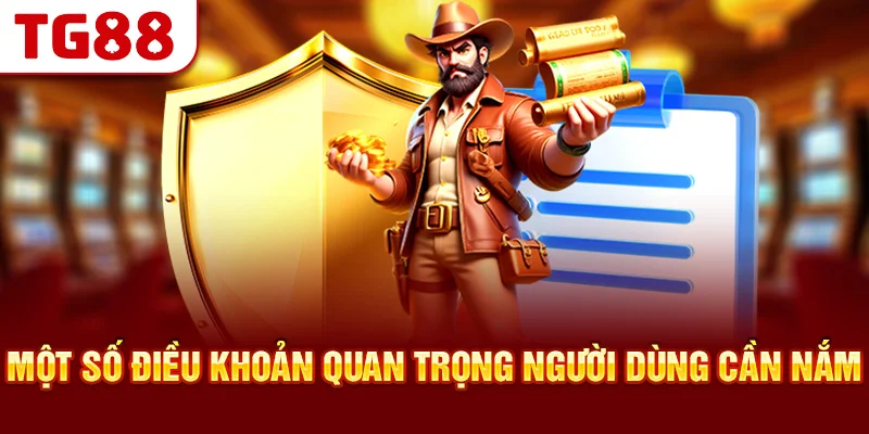 Một số điều khoản quan trọng người dùng cần nắm