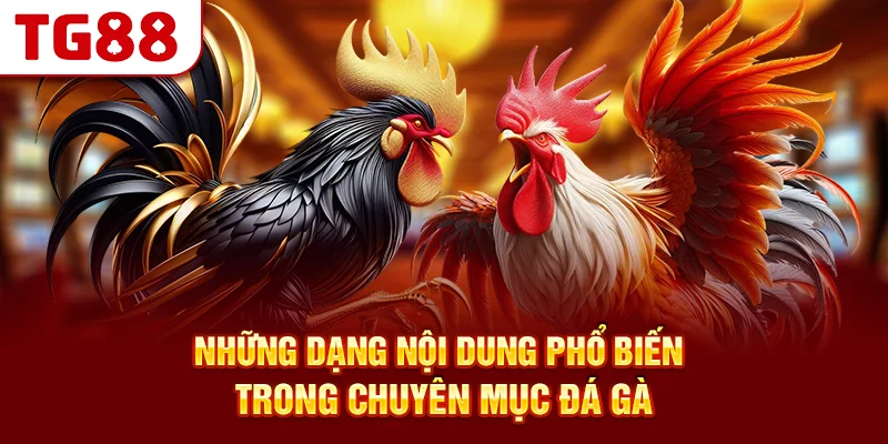 Những Dạng Nội Dung Phổ Biến Trong Chuyên Mục Đá Gà
