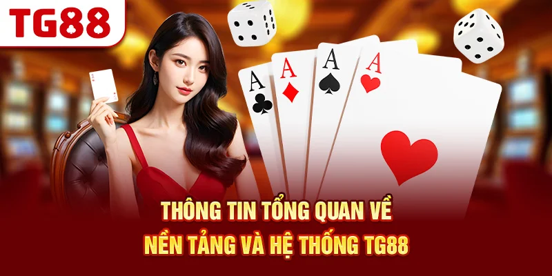 Thông tin tổng quan về nền tảng và hệ thống TG88