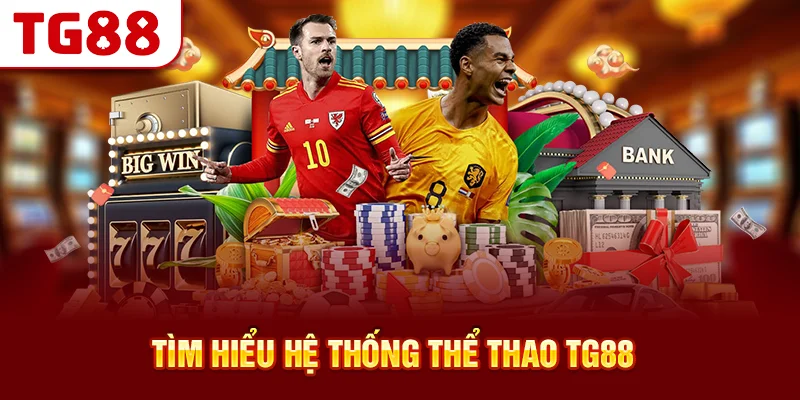 Tìm Hiểu Hệ Thống Thể Thao TG88