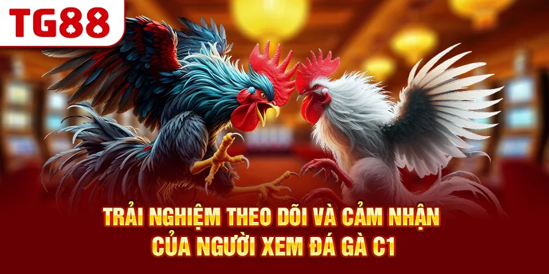 Trải Nghiệm Theo Dõi Và Cảm Nhận Của Người Xem Đá Gà C1
